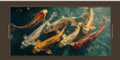 Koi Fish Wall Art